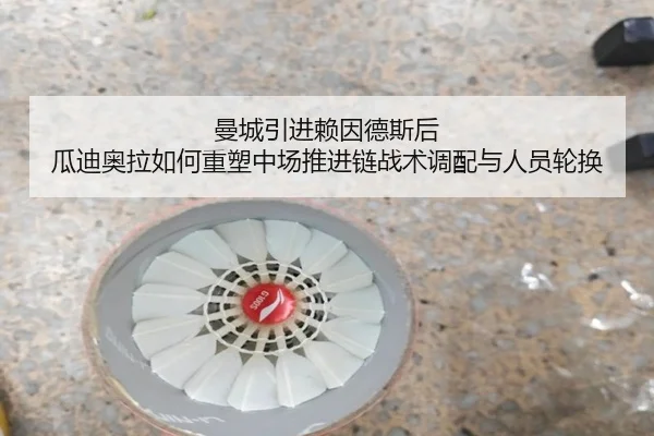 曼城引进赖因德斯后 瓜迪奥拉如何重塑中场推进链战术调配与人员轮换