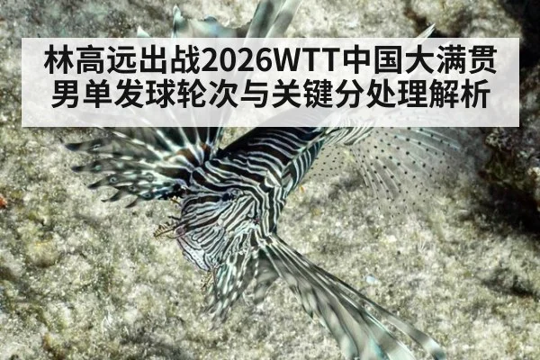 林高远出战2026WTT中国大满贯 男单发球轮次与关键分处理解析