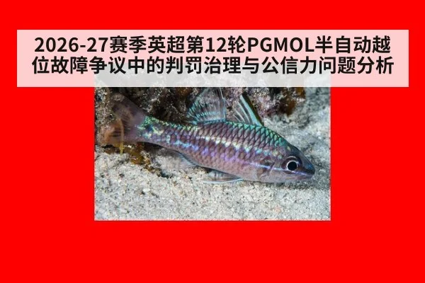 2026-27赛季英超第12轮PGMOL半自动越位故障争议中的判罚治理与公信力问题分析